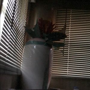 Meet your Posher, Sheri